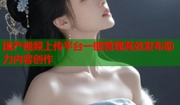 国产视频上传平台一键管理高效发布助力内容创作
