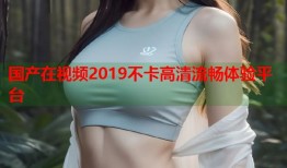 国产在视频2019不卡高清流畅体验平台