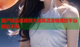 国产精品机视频大陆高清流畅播放平台精彩不断