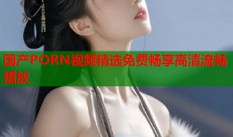 国产PORN视频精选免费畅享高清流畅播放