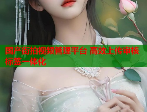 国产街拍视频管理平台 高效上传审核标签一体化